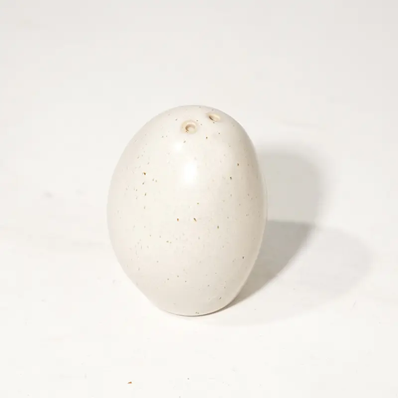 China Factory Jiashun Ceramic Dinnerware Set Stoneware Plates and Bowls Set For Restaurant6.jpg